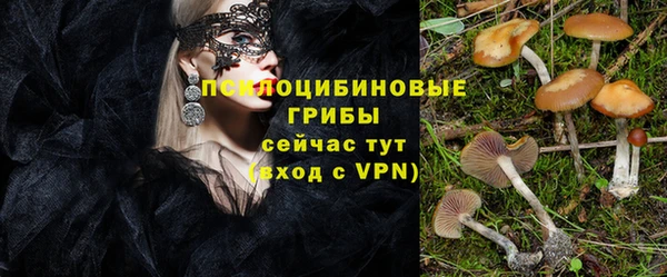 а пвп мука Балахна