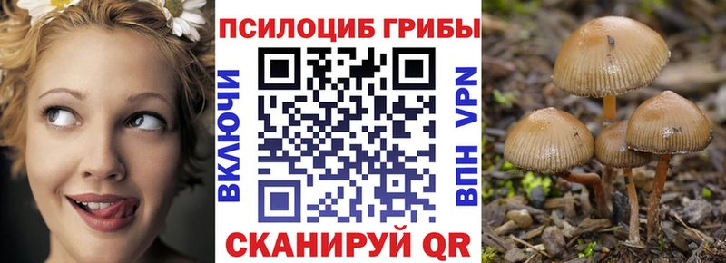 Псилоцибиновые грибы Psilocybine cubensis  где купить наркотик  Сретенск 